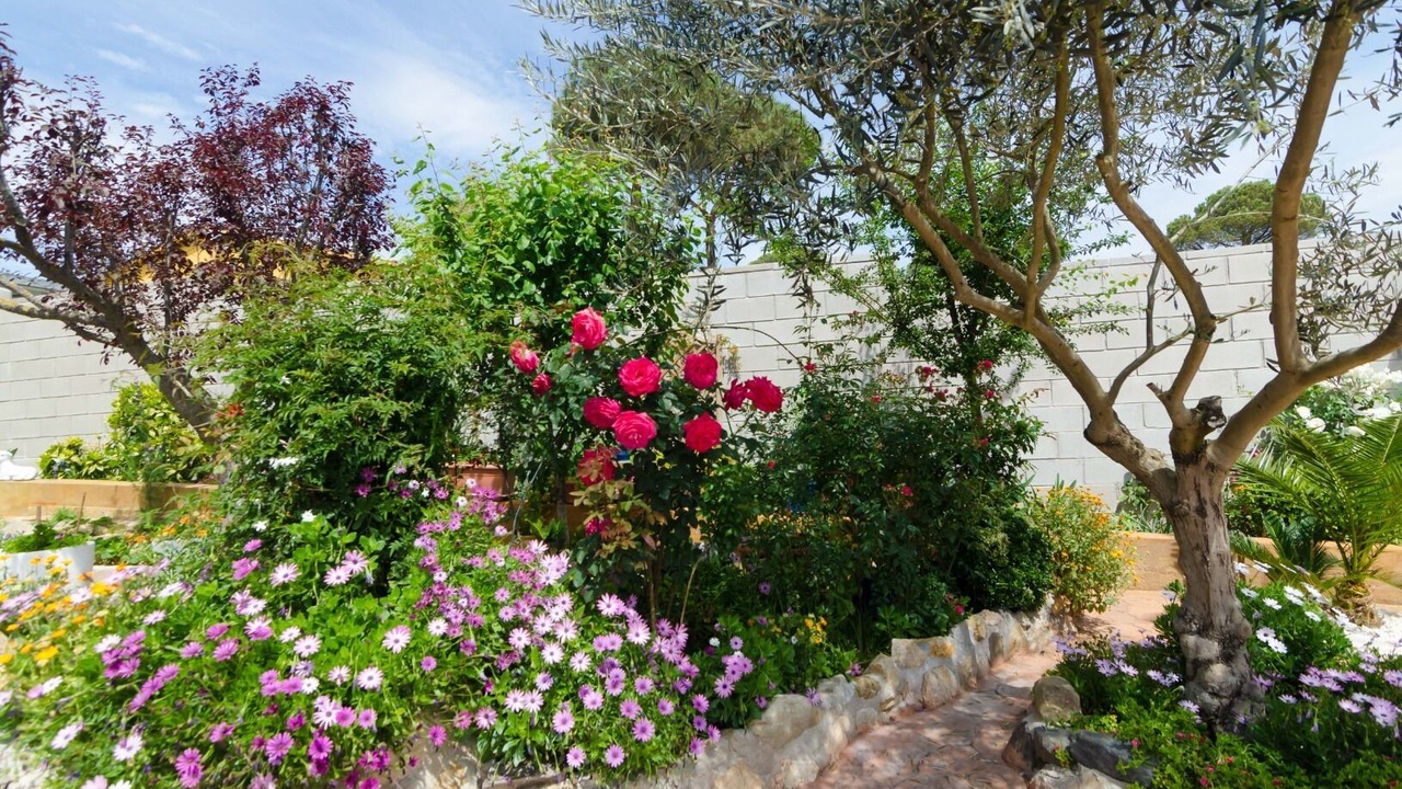 Photo of Outdoor in La Goba