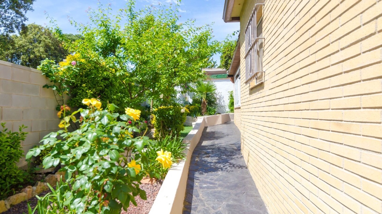 Photo of Outdoor in La Goba