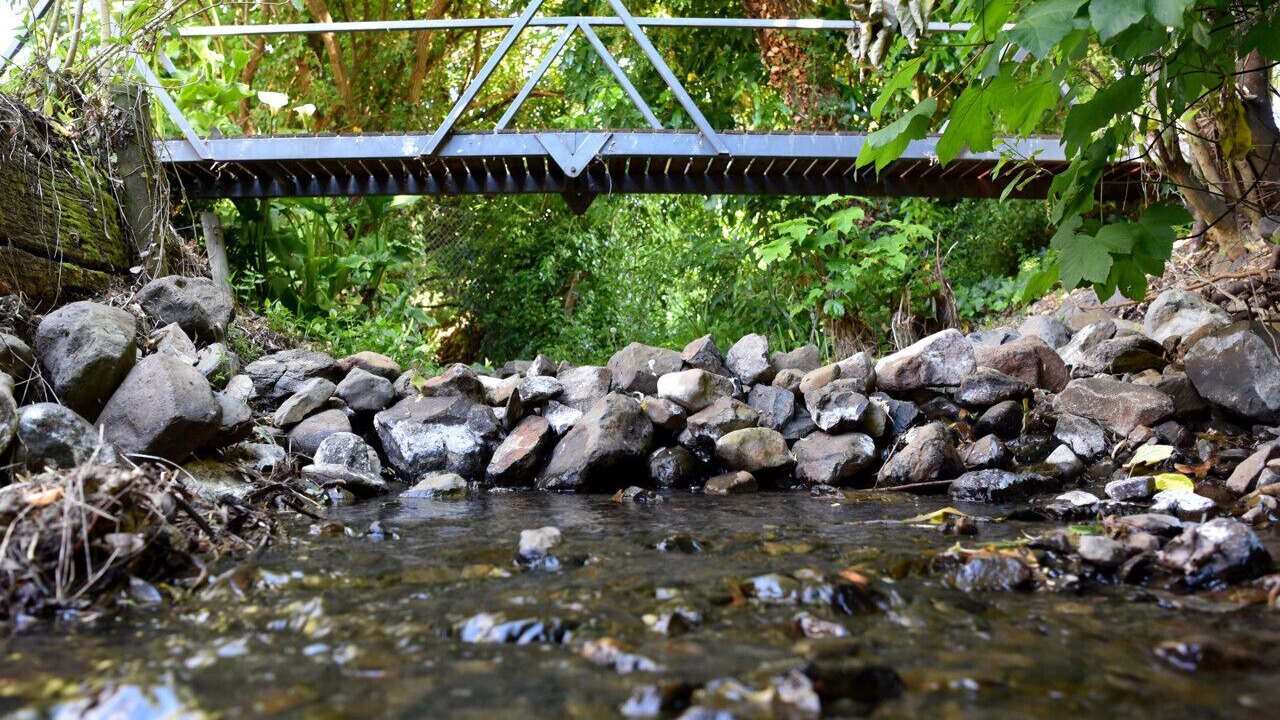 Photo of Outdoor in Akaroa