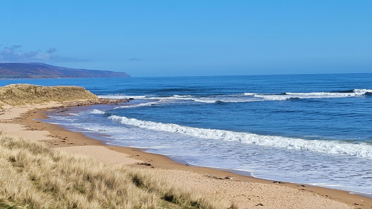 Photo of Others in Helmsdale