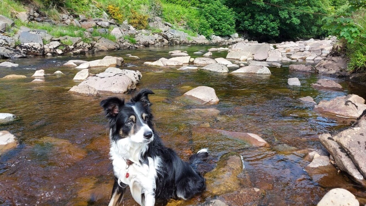 Photo of Outdoor in Helmsdale