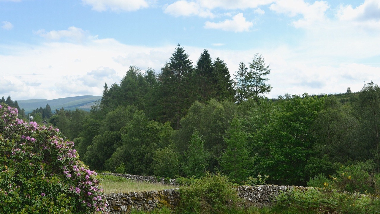 Photo of Outdoor in Bargrennan