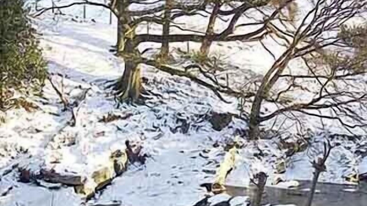 Photo of Others in Sedbergh