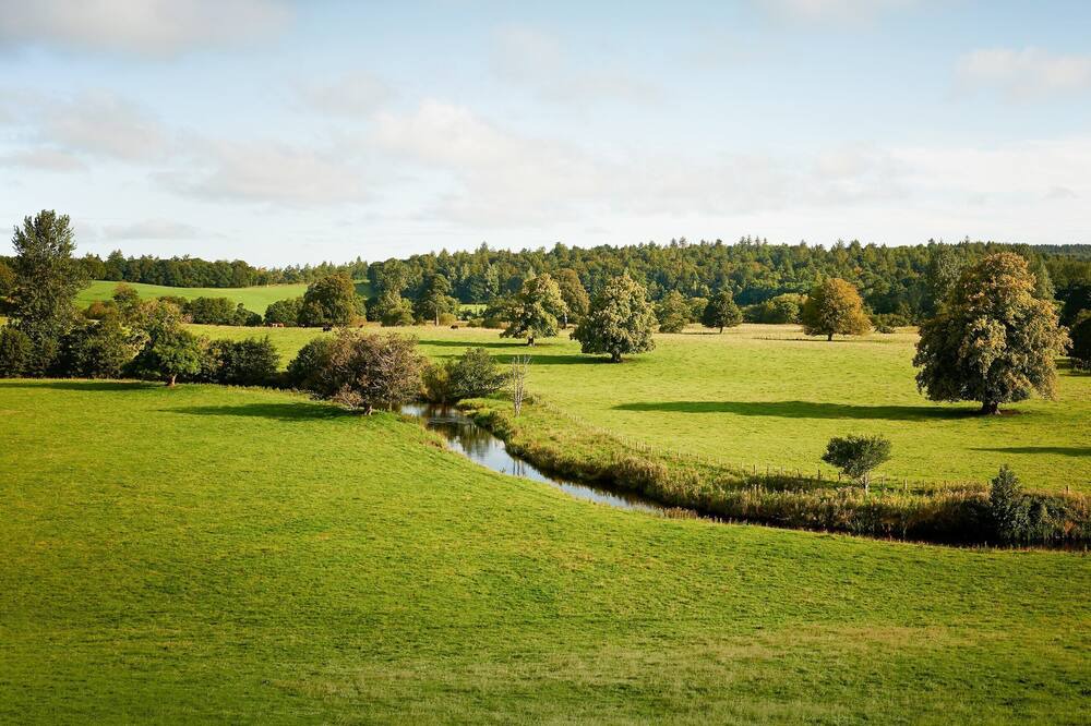 Photo of Others in Straiton