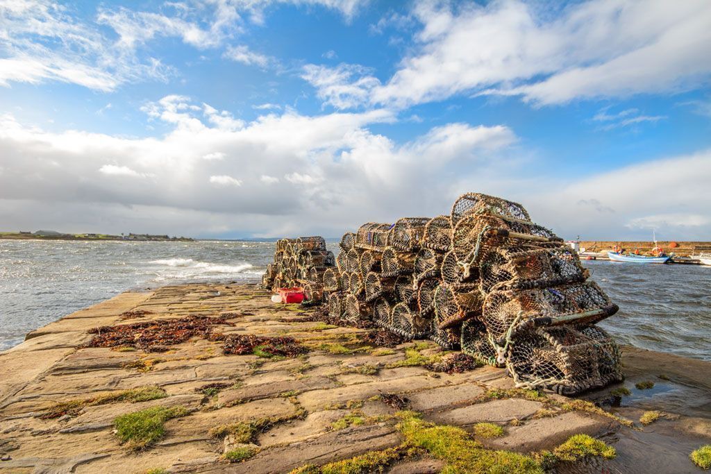 Photo of Others in Portmahomack