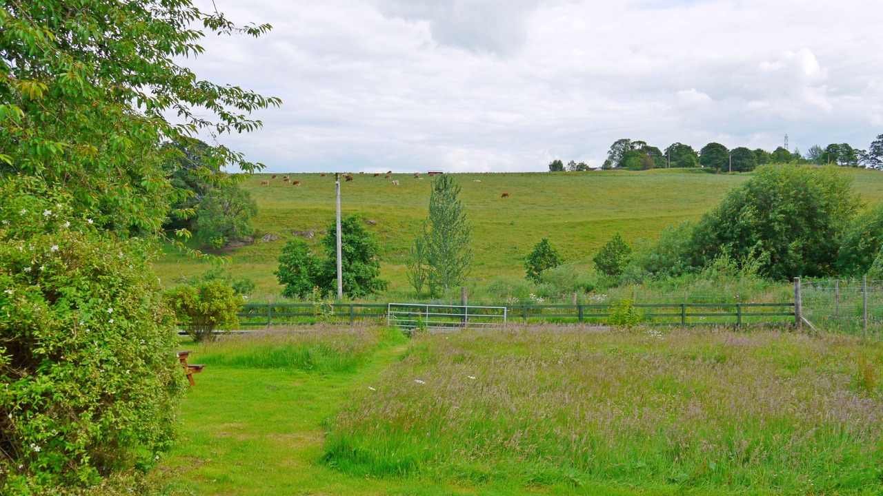 Photo of Outdoor in Marybank