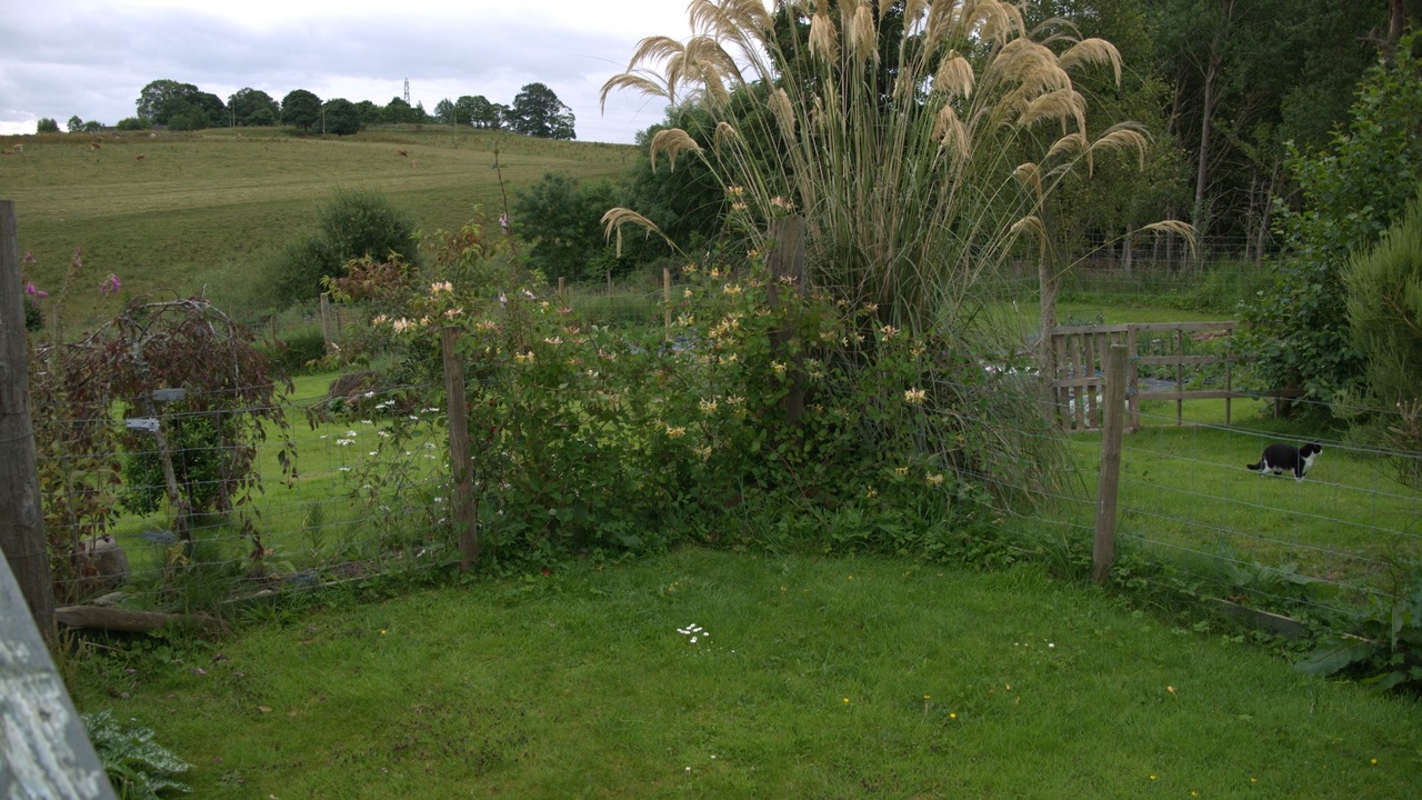 Photo of Outdoor in Marybank