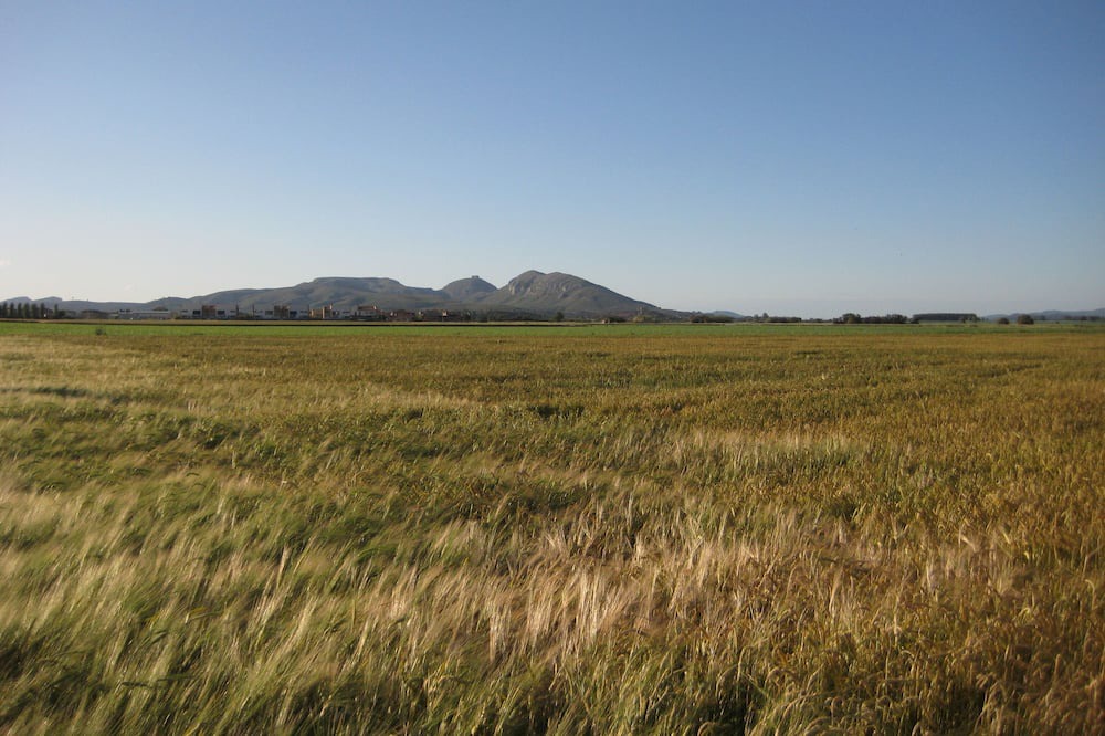 Photo of Outdoor in Torroella de Montgri