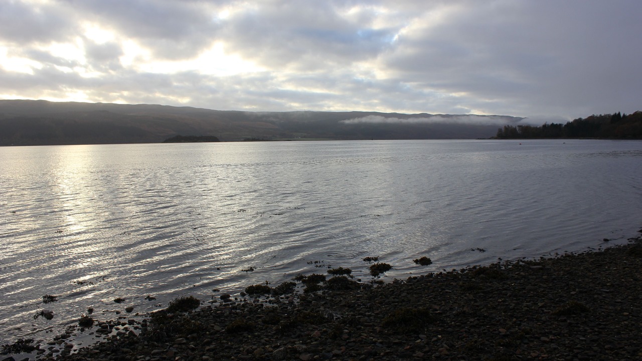 Photo of Others in Minard
