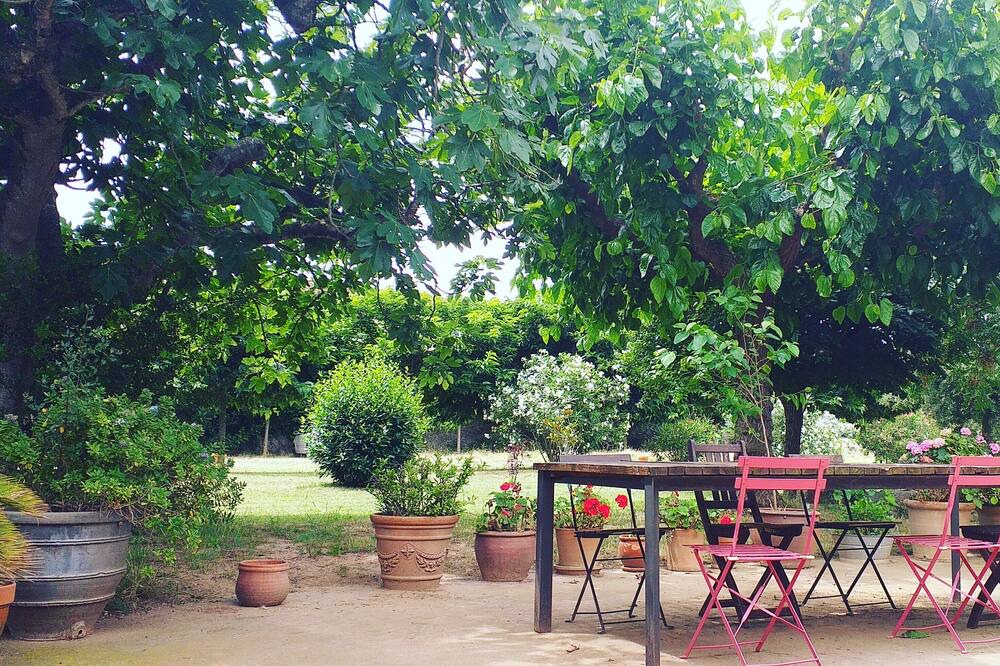 Photo of Outdoor in Torroella de Montgri