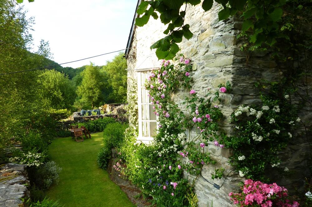 Photo of Outdoor in Cwrt