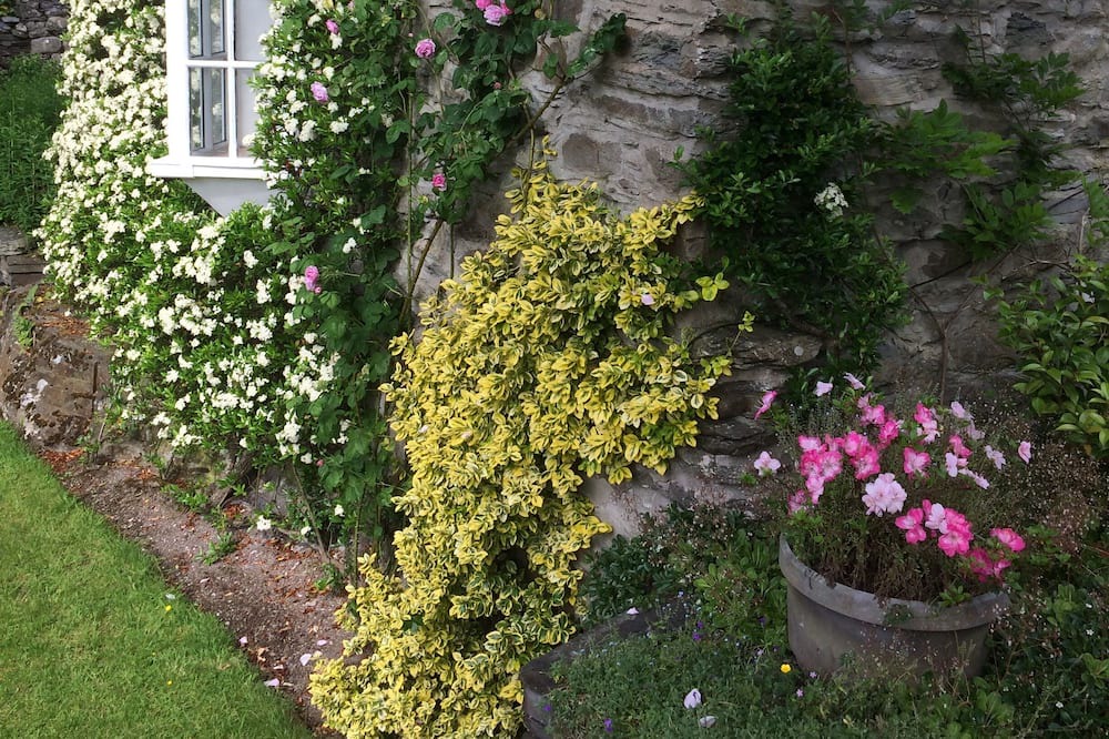 Photo of Outdoor in Cwrt