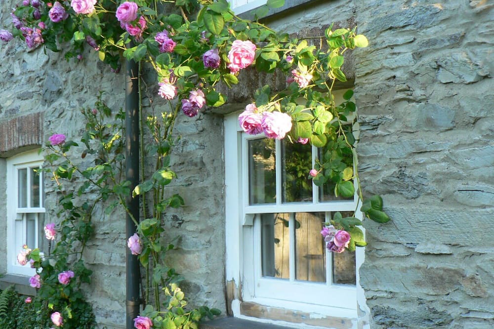 Photo of Outdoor in Cwrt