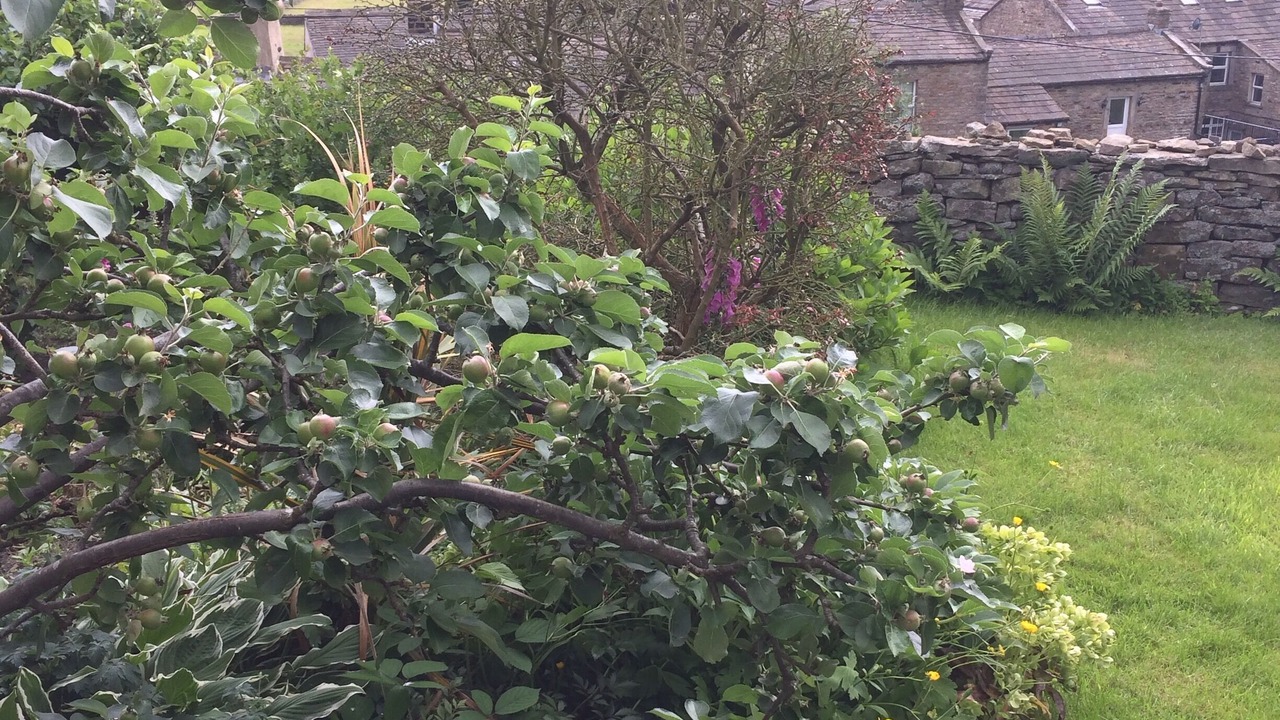 Photo of Outdoor in Worton