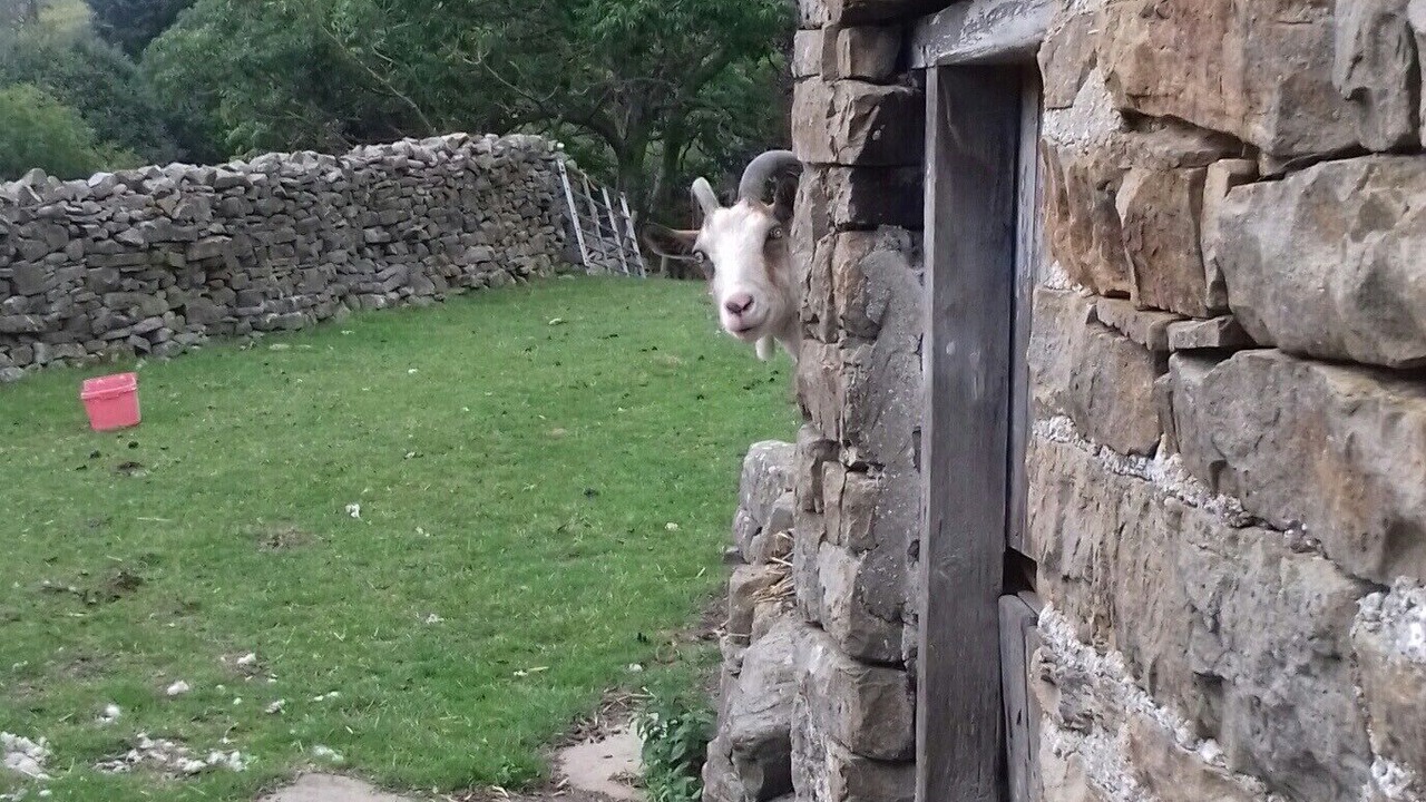 Photo of Outdoor in Worton