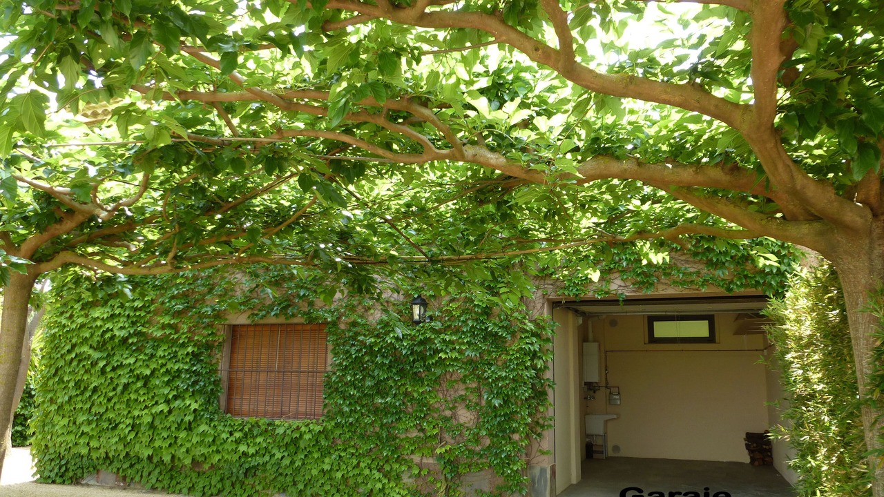 Photo of Outdoor in La Tallada d'Emporda