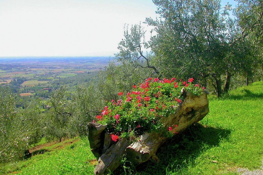 Photo of Others in Cortona