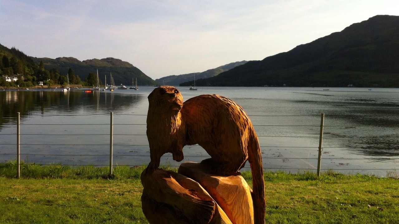 Photo of Outdoor in Cairndow