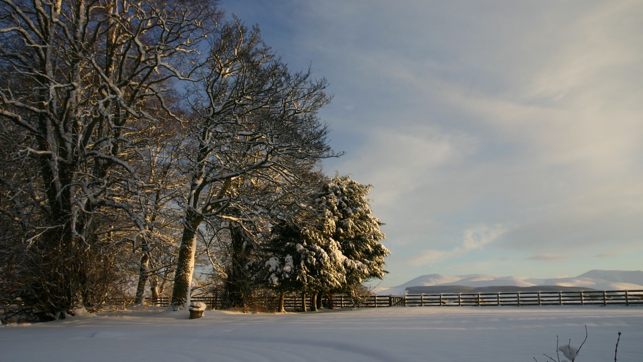 Photo of Buildings in Biggar