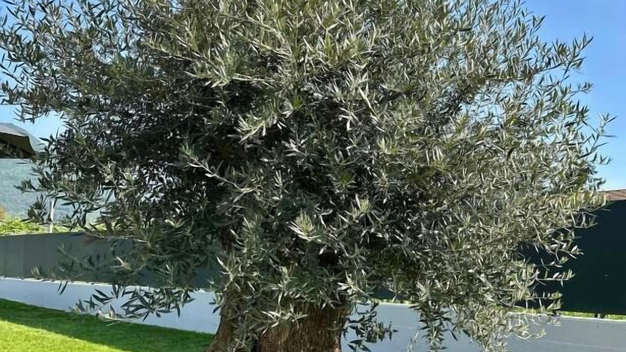 Photo of Outdoor in Arco