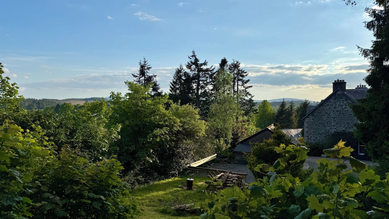 Photo of Outdoor in Aberfoyle