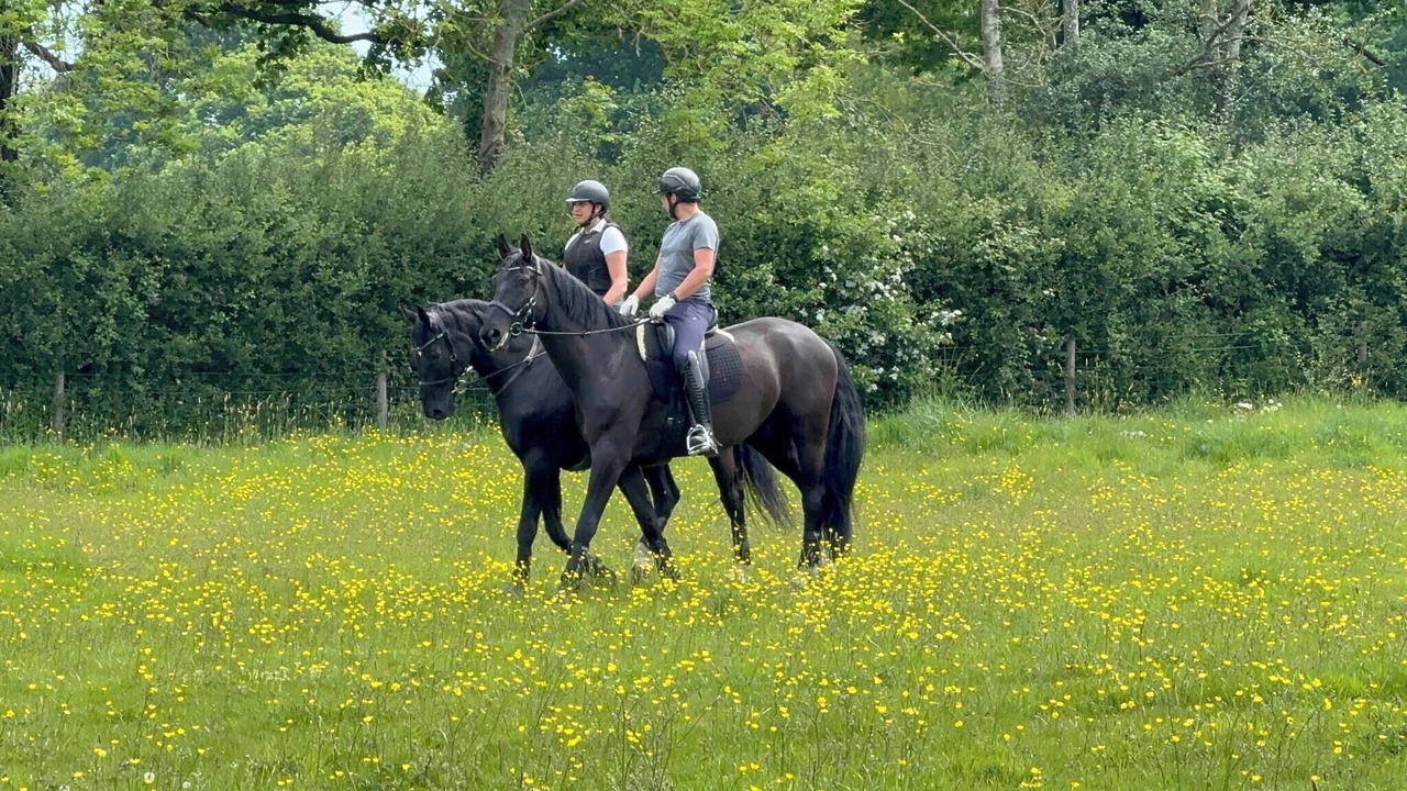 Photo of Others in Willesborough