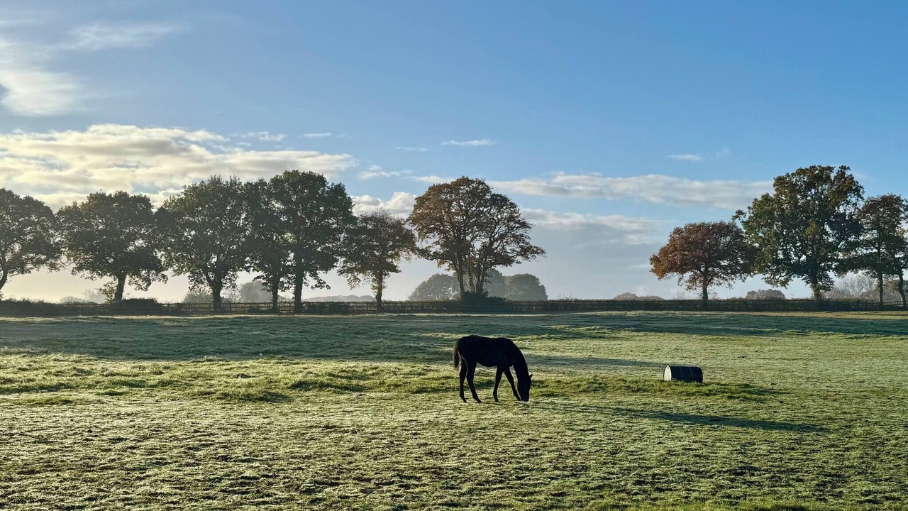 Photo of Outdoor in Willesborough