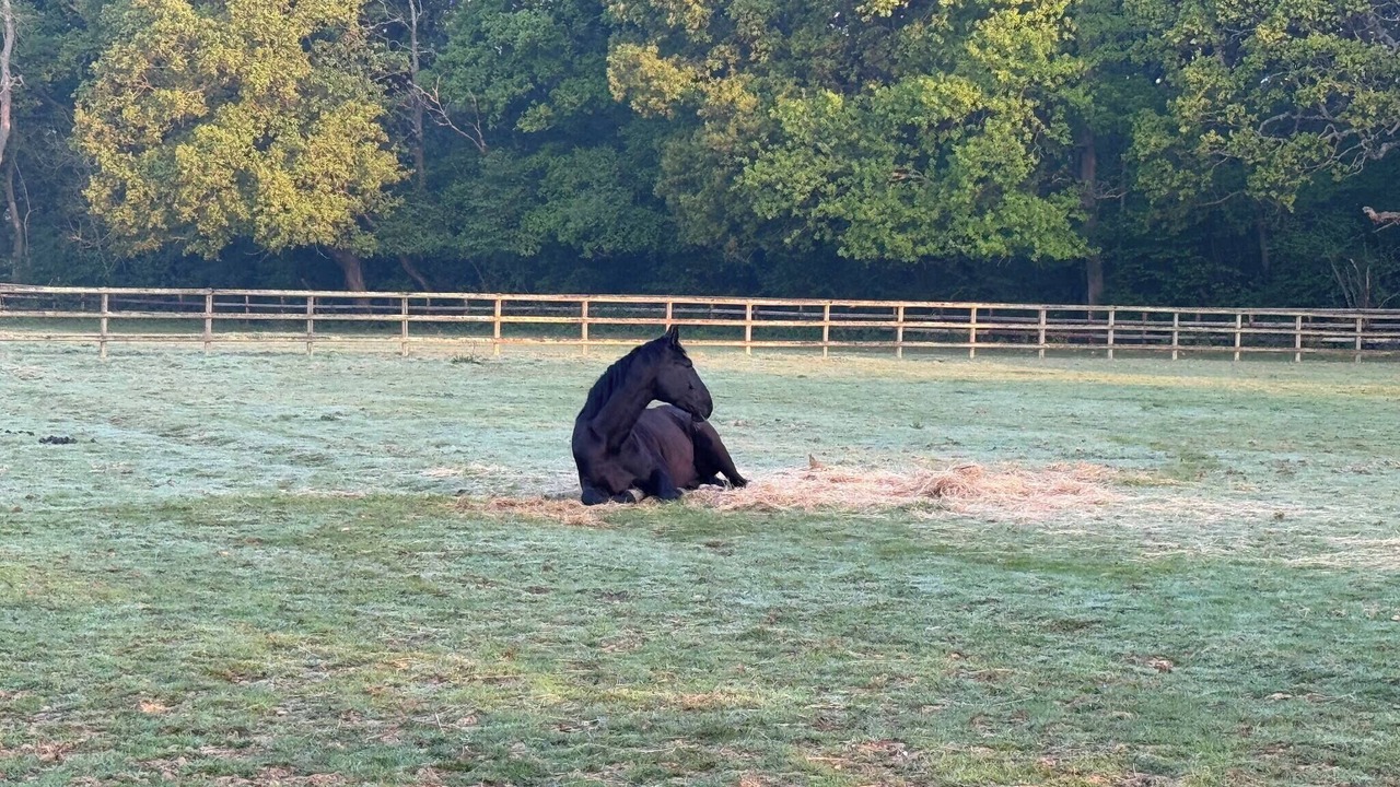 Photo of Outdoor in Willesborough