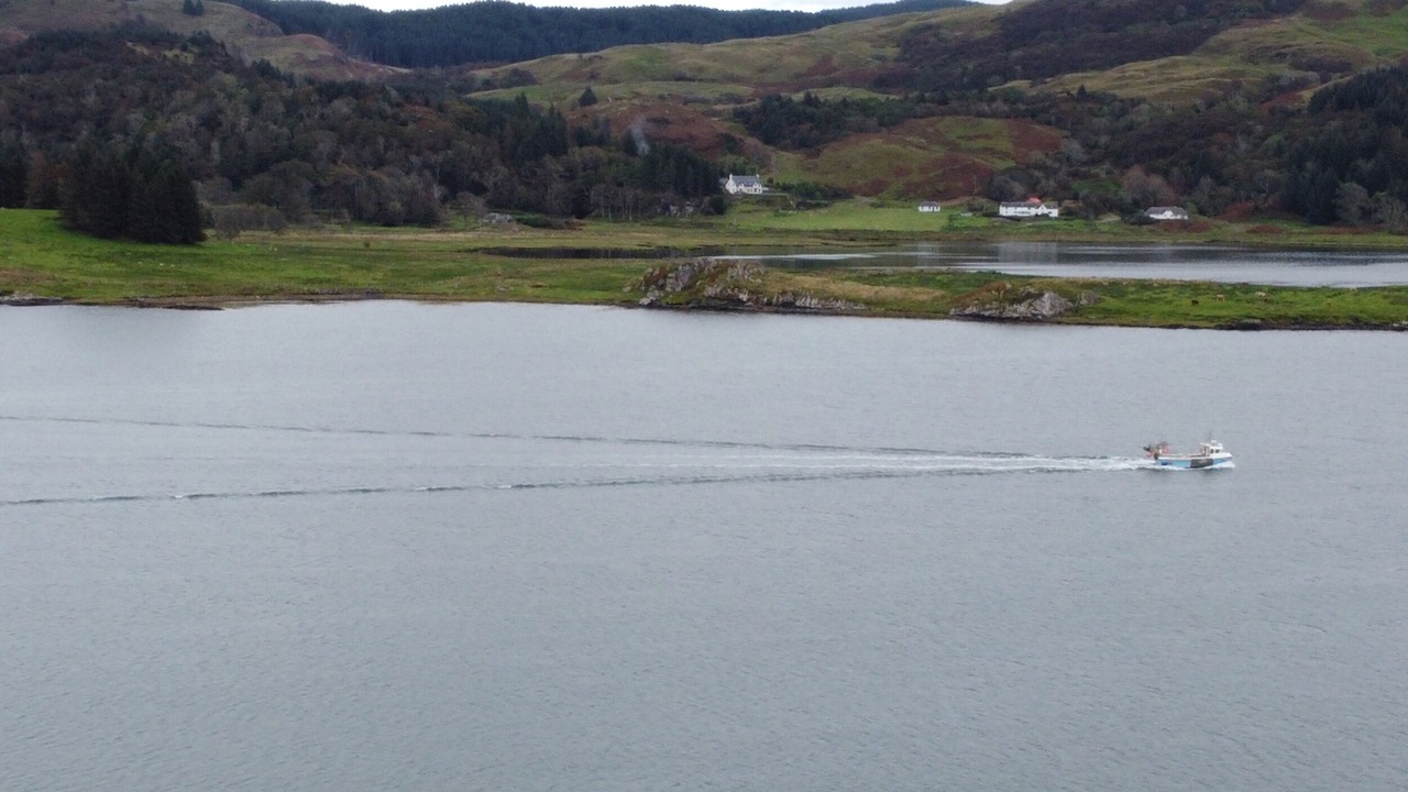Photo of Others in Balvicar