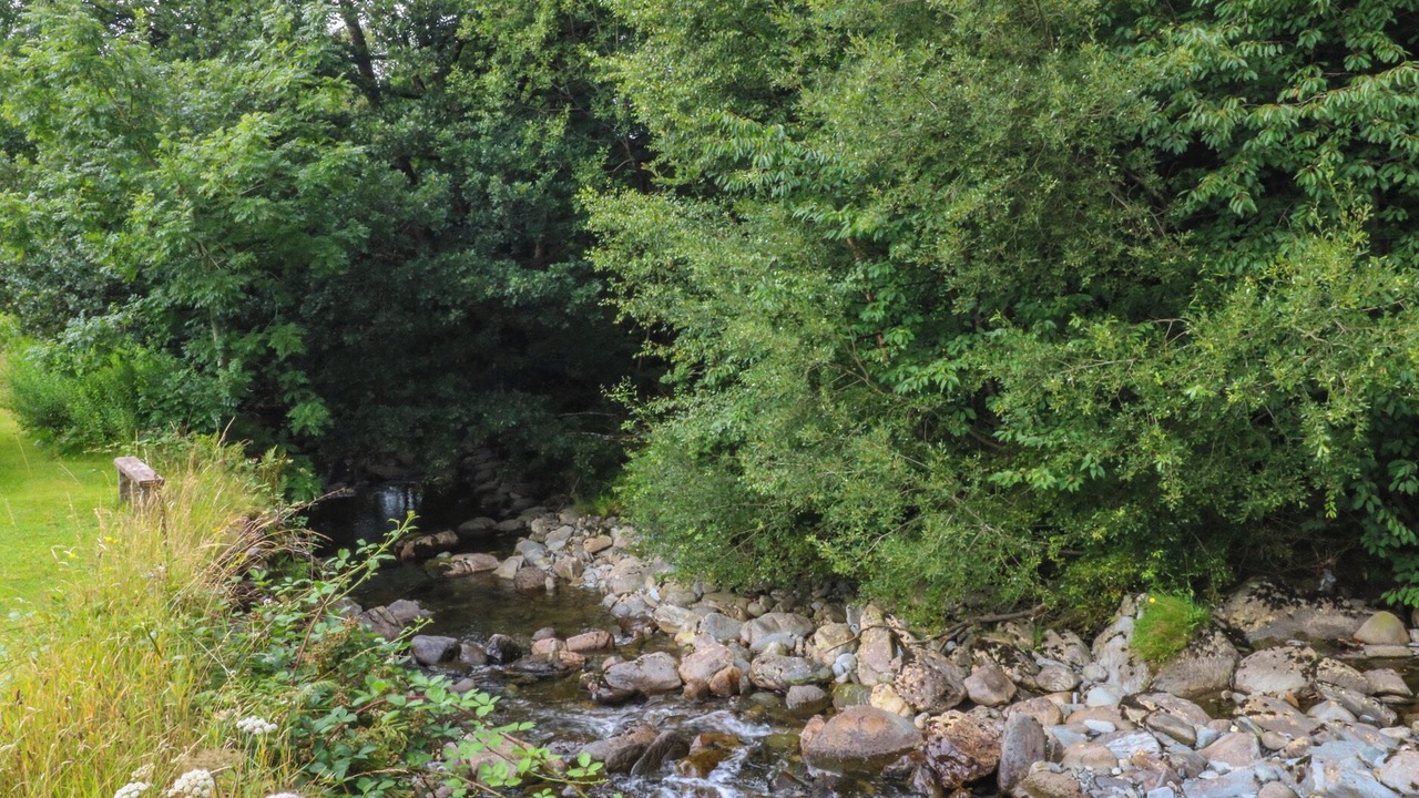 Photo of Others in Dolwyddelan