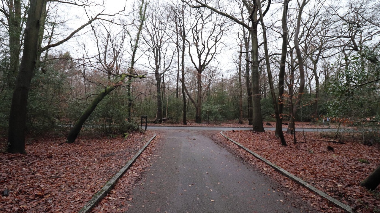 Photo of Others in Farnham Common