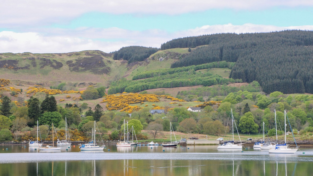 Photo of Others in Isle of Seil