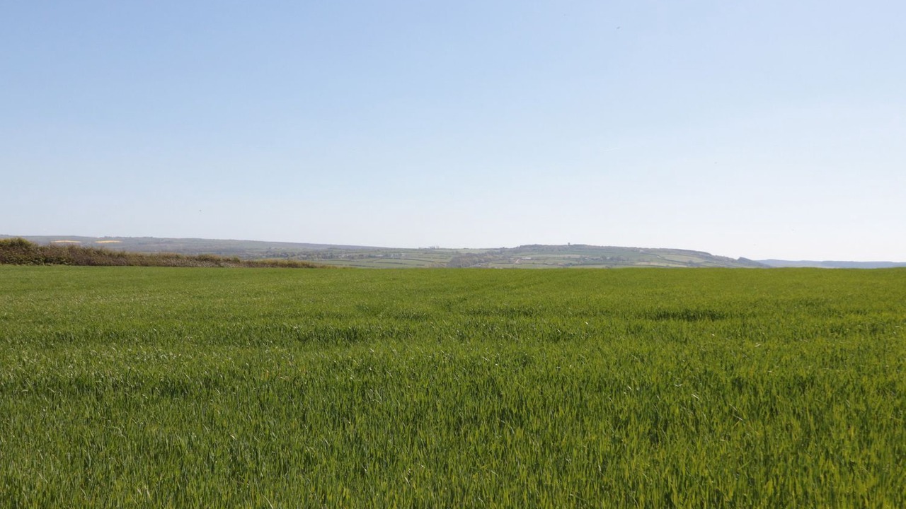 Photo of Others in Briggswath