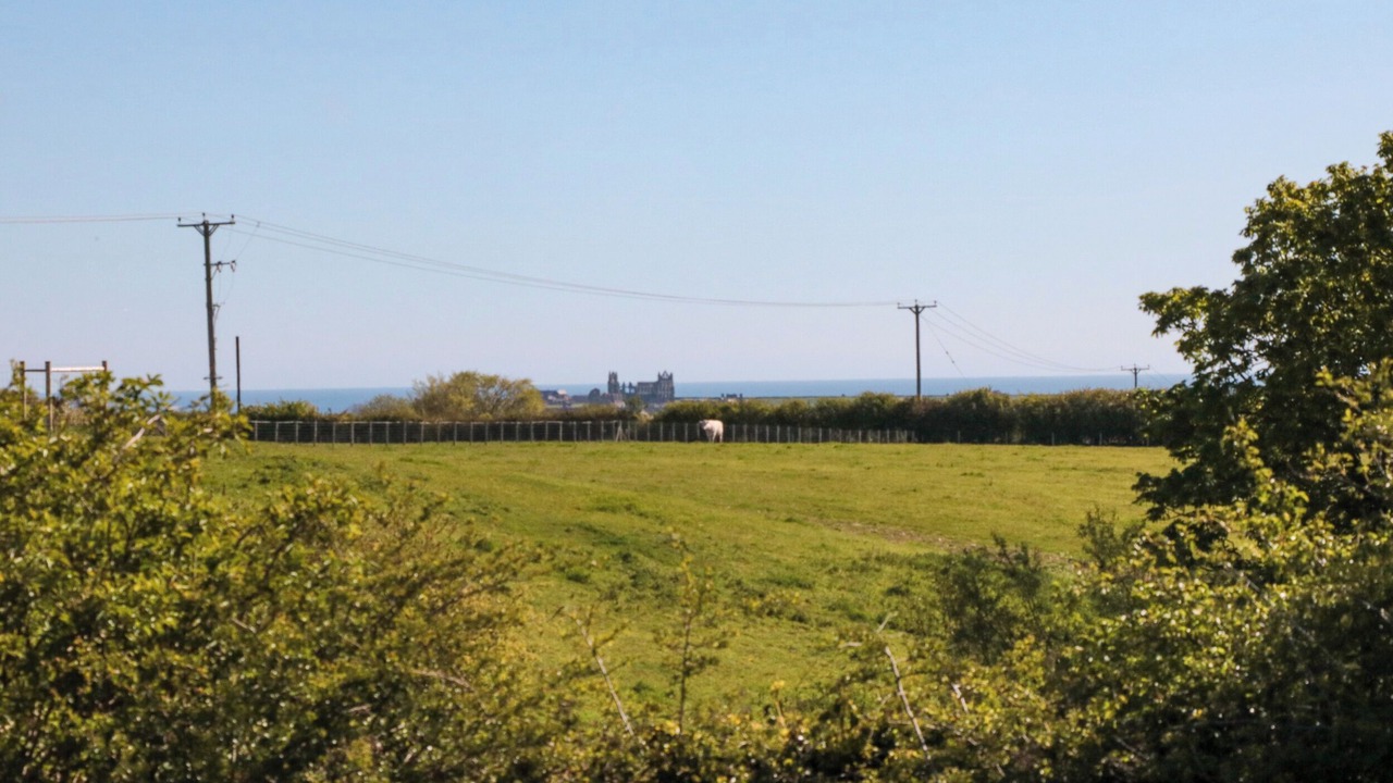 Photo of Others in Briggswath