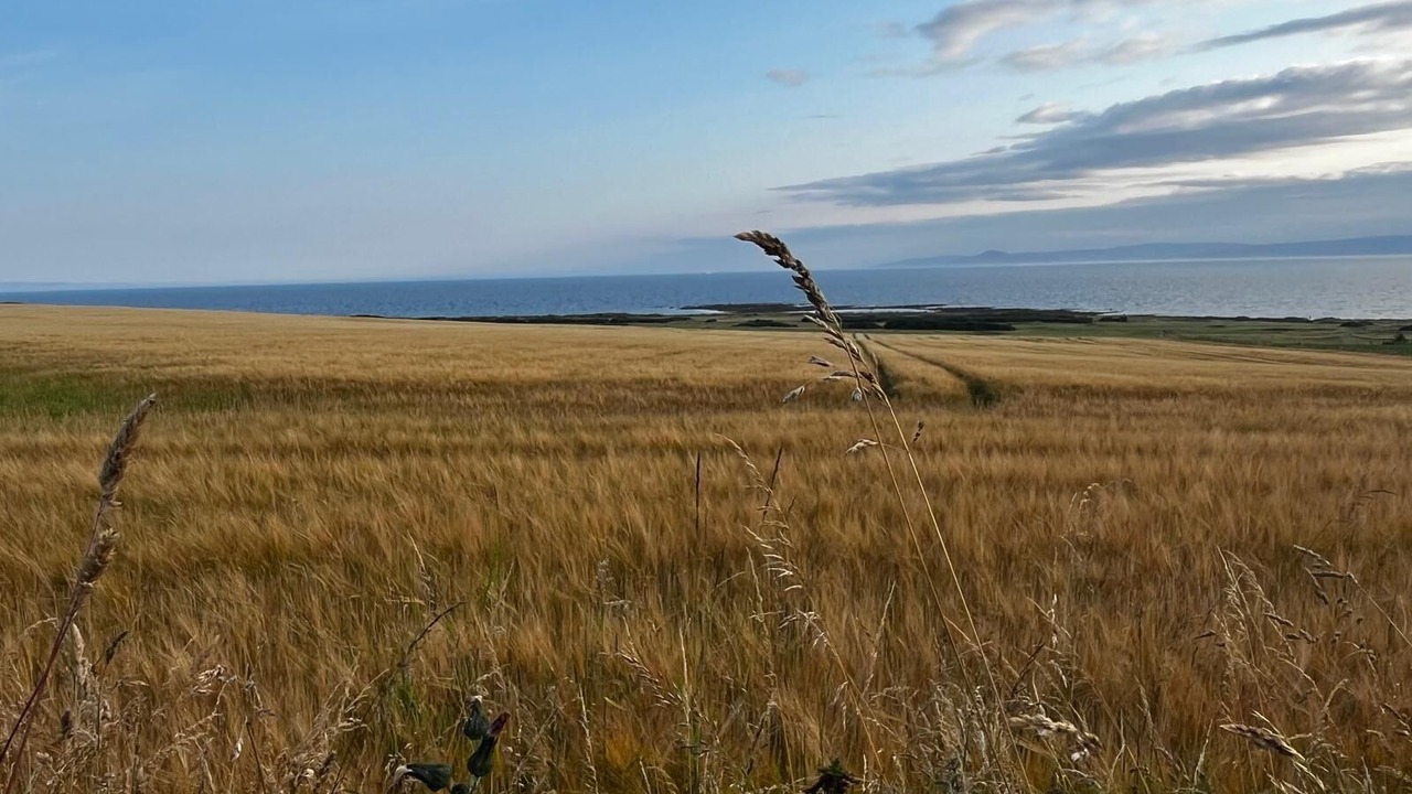 Photo of Others in West Kilbride