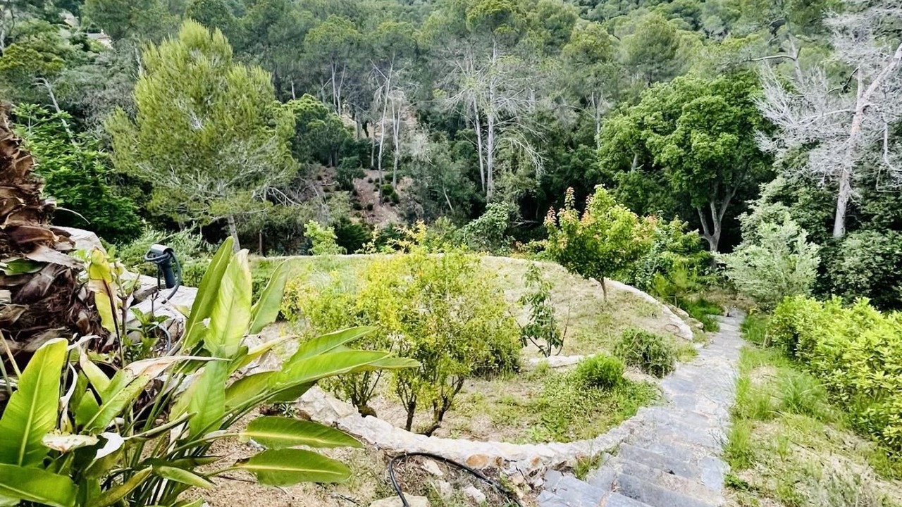 Photo of Outdoor in Palafolls