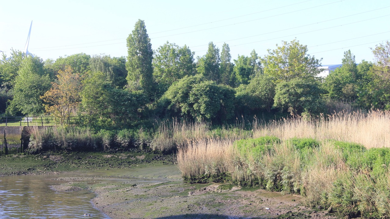 Photo of Outdoor in Gascoigne