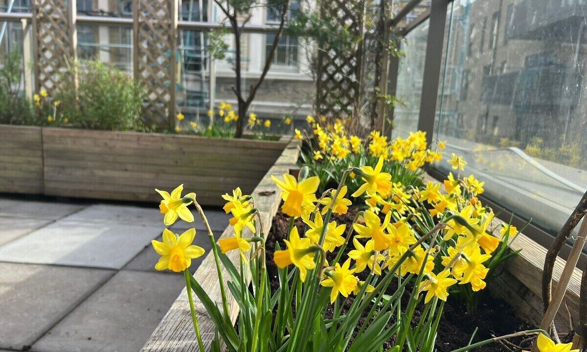 Photo of Outdoor in Bromley North