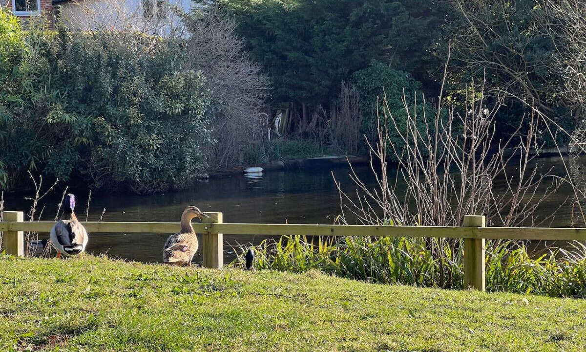 Photo of Outdoor in Westleton