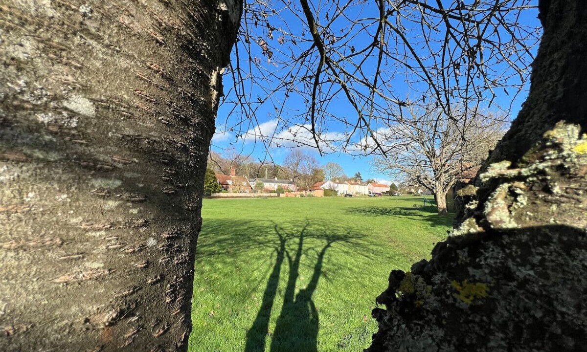 Photo of Outdoor in Westleton