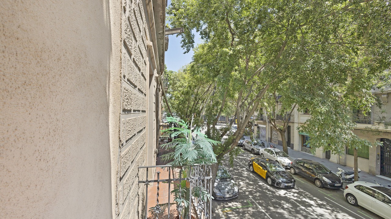 Photo of Outdoor in el Camp d'en Grassot i Gracia Nova