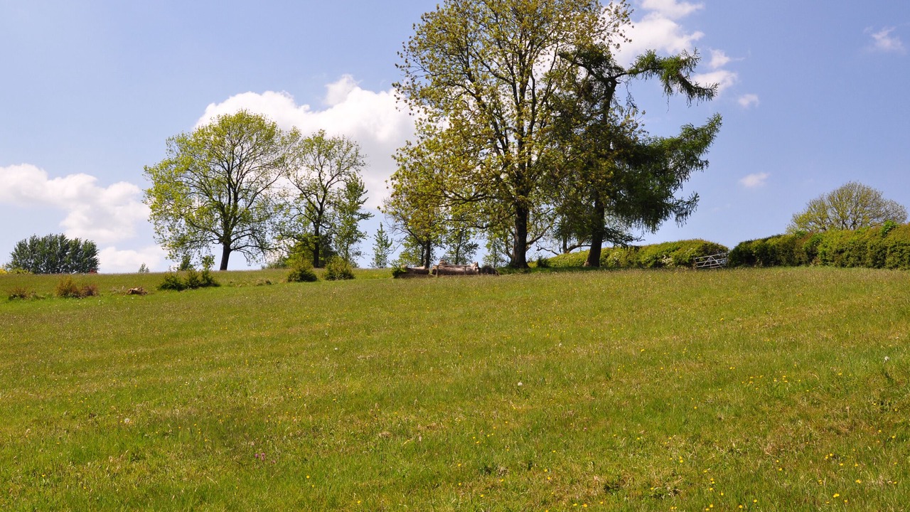 Photo of Others in Newcastle-on-Clun
