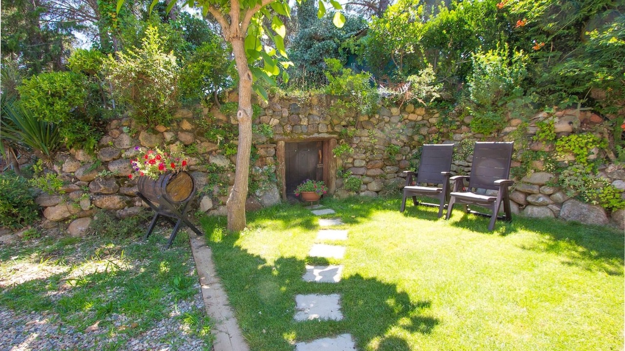 Photo of Outdoor in La Goba