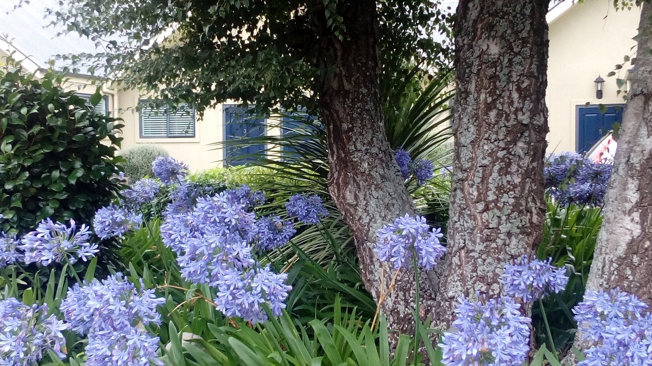 Photo of Outdoor in Geraldine