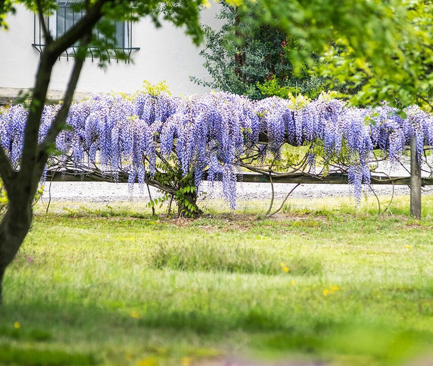 Photo of Outdoor in Gozzano