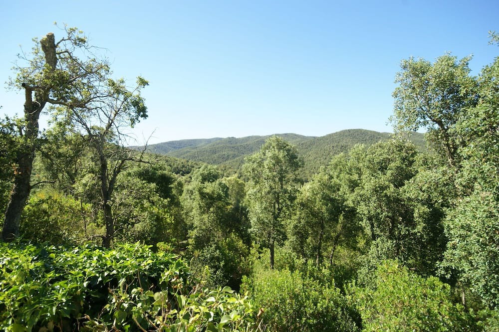 Photo of Others in Santa Cristina de Aro