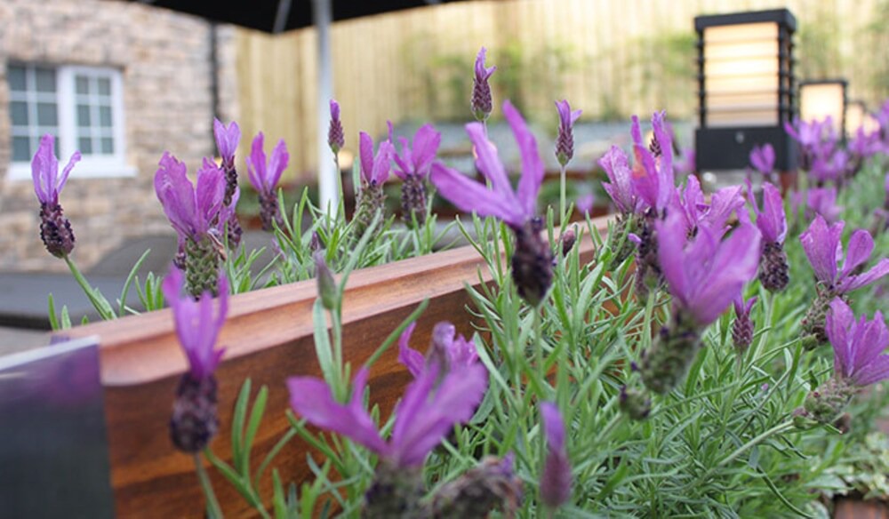 Photo of Outdoor in Howwood