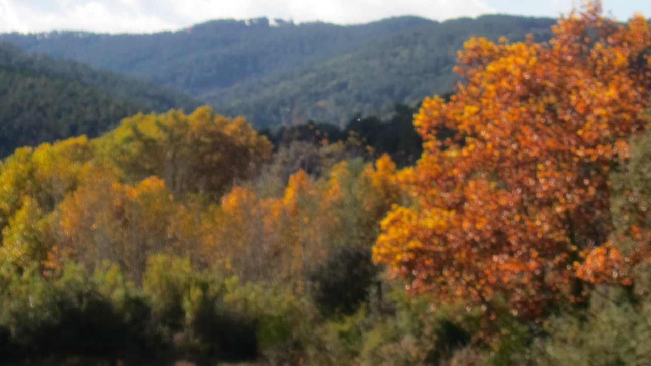 Photo of Others in Sant Marti Vell