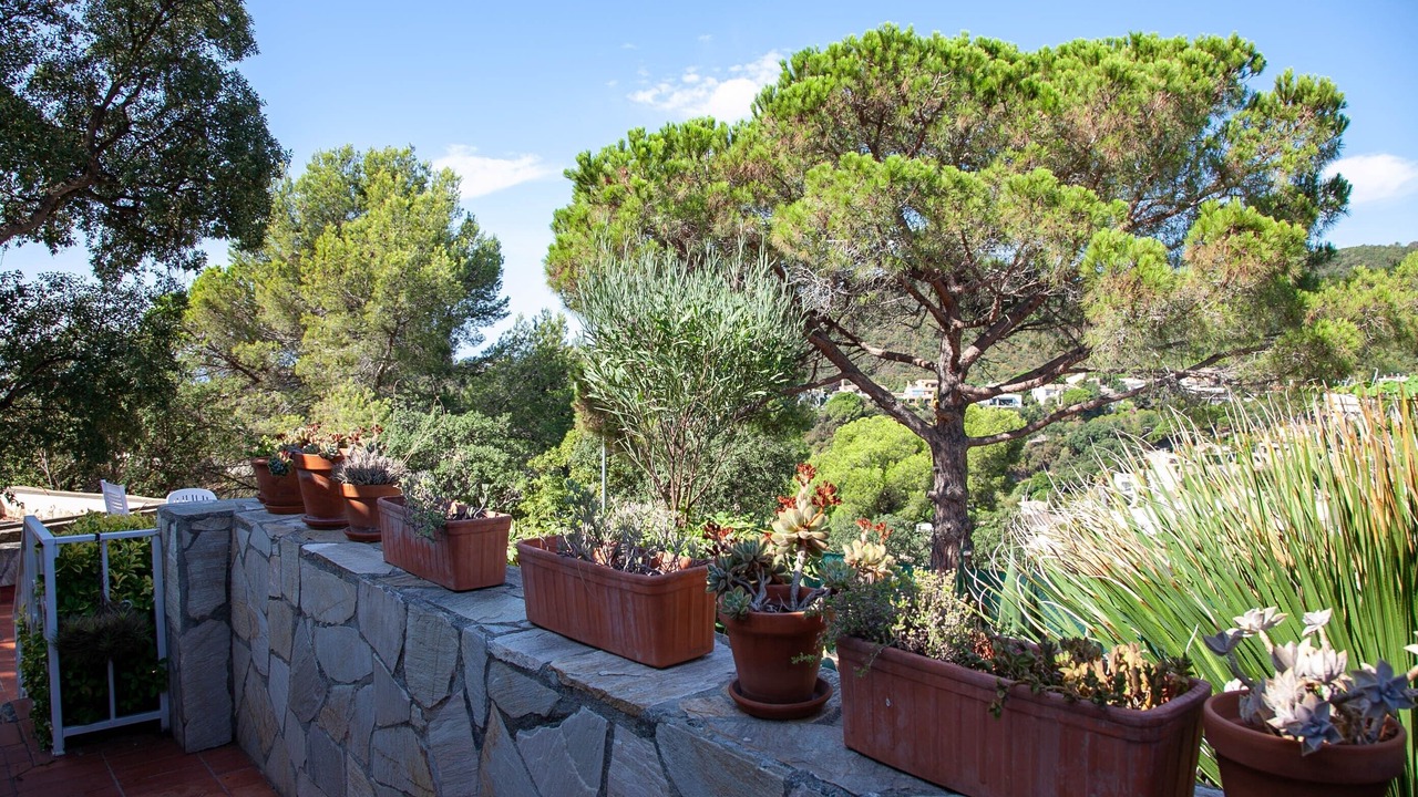 Photo of Outdoor in Tossa de Mar