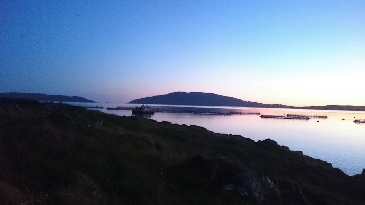 Photo of Others in Isle of Luing
